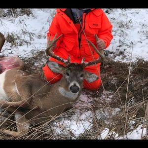 Meet your Posher, Brock